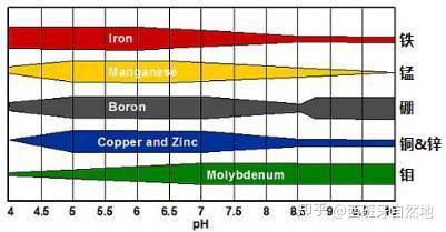 化学微量元素表(化学微量元素表图片)-硒宝网