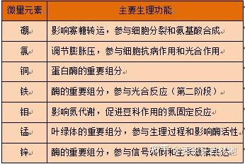 化学微量元素表(化学微量元素表图片)-硒宝网