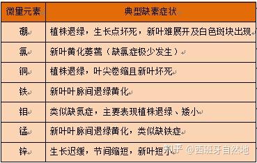化学微量元素表(化学微量元素表图片)-硒宝网