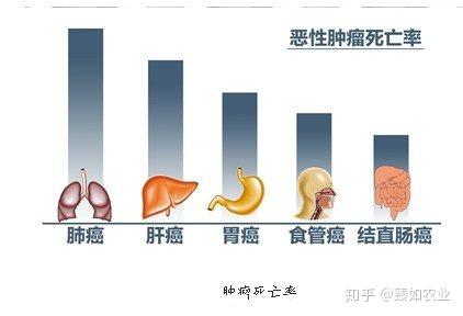 得了癌症可以补硒吗（癌症病人补充硒）-硒宝网