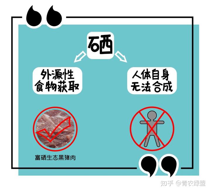 小儿补锌补硒的产品（儿童补锌硒的药哪个牌子最好）-硒宝网