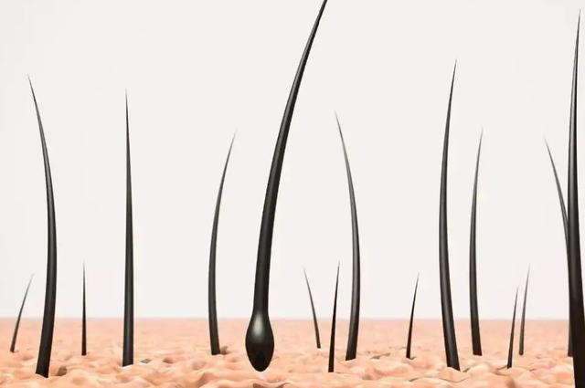 癌症化疗补什么硒好(化疗时补硒可以减轻副作用吗)-硒宝网