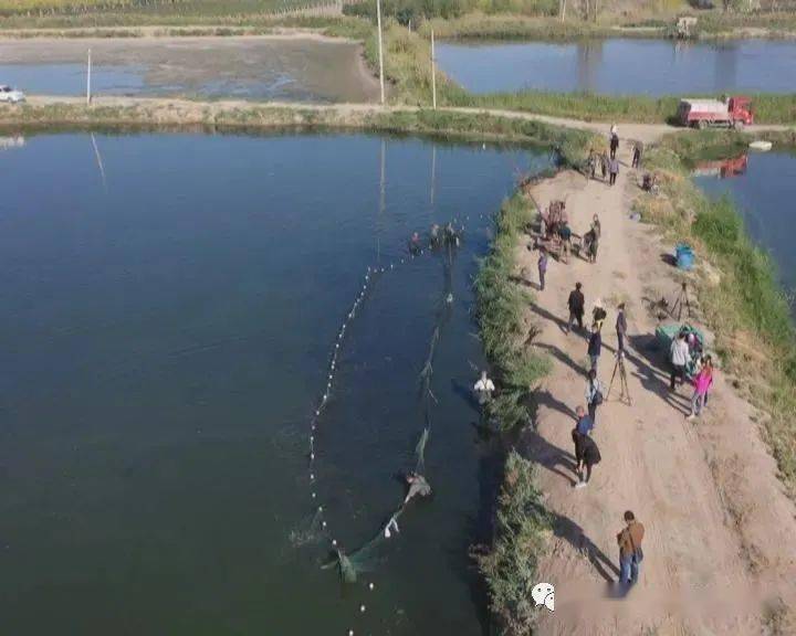 补钙补多久（补补钙高情商回复）-硒宝网