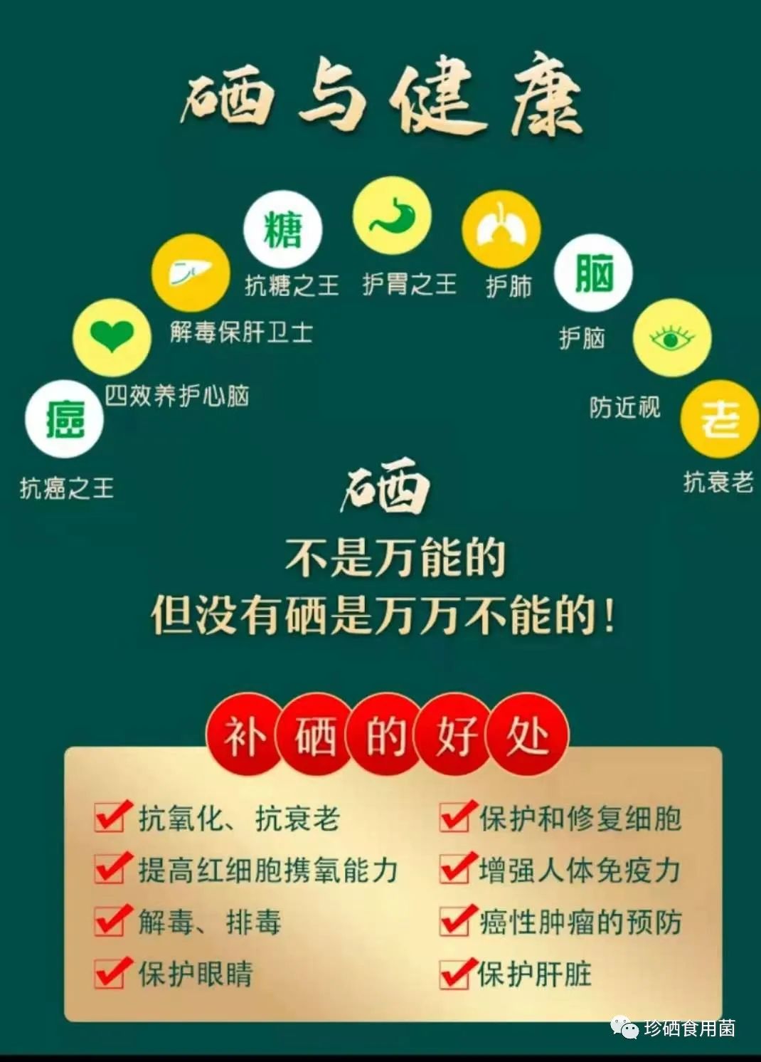 癌症可以补硒元素吗（癌症补元素硒可以治疗吗）-硒宝网