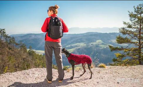 多种微量元素的作用(微量元素种类及作用)-硒宝网