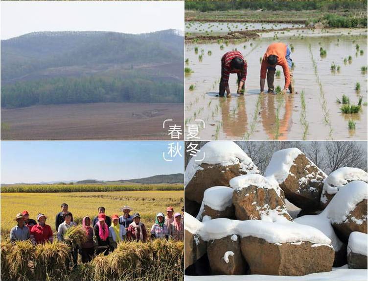 补硒元素应该吃什么（补充硒元素）-硒宝网