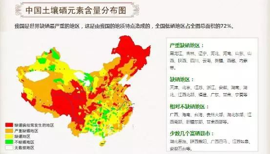 补硒元素应该吃什么（补充硒元素）-硒宝网