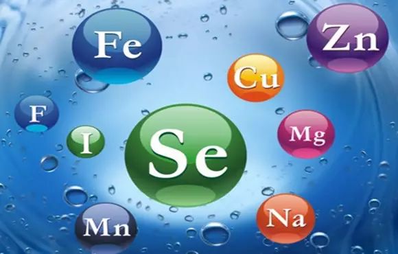 补硒元素应该吃什么（补充硒元素）-硒宝网