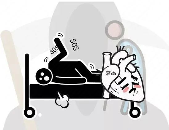 补硒元素应该吃什么(补充硒元素有什么好处)-硒宝网