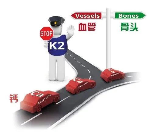 补钙食品有哪些(补钙食品有哪些含钙高)-硒宝网