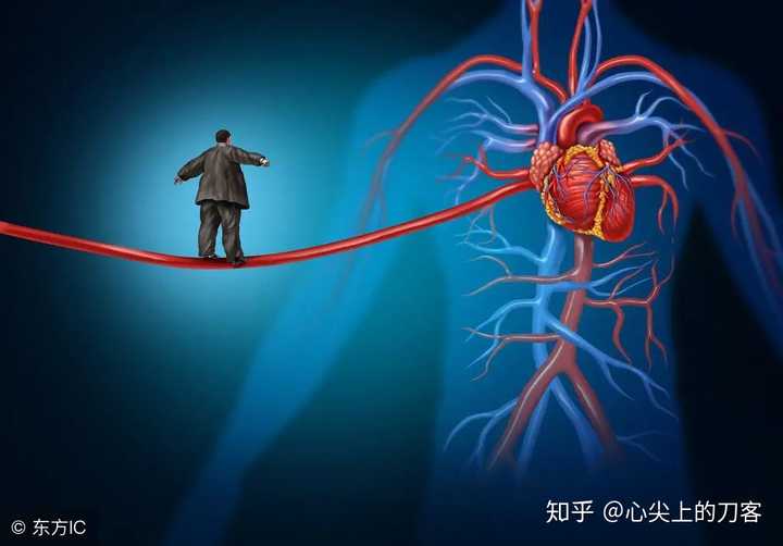 心脏搭桥可以补硒吗(心脏搭桥可以吃维生素c吗)-硒宝网