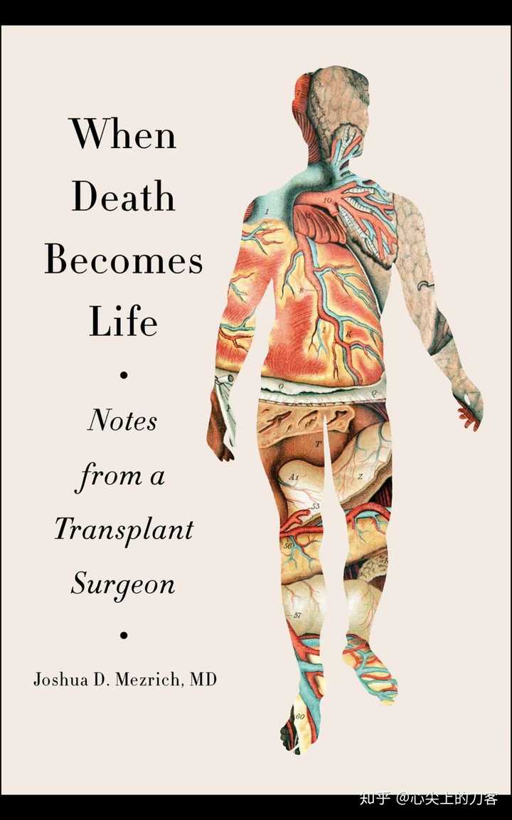 心脏搭桥可以补硒吗(心脏搭桥可以吃维生素c吗)-硒宝网