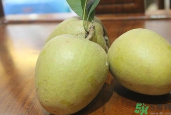 幼儿补硒吃什么牌子(幼儿补硒哪种好)-硒宝网