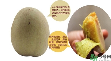 幼儿补硒吃什么牌子(幼儿补硒哪种好)-硒宝网