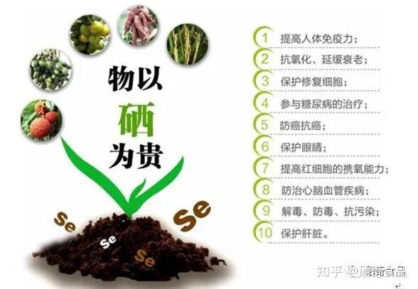 人体每日补硒多少量（人体每日补硒多少）-硒宝网