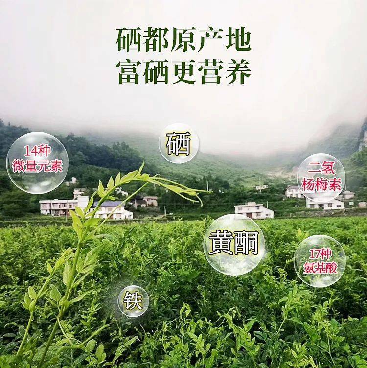 什么茶补硒最好最快(喝茶补硒吗)-硒宝网