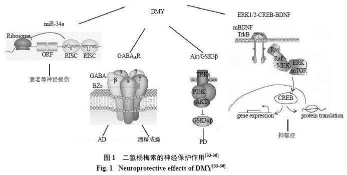 什么茶补硒最好最快(喝茶补硒吗)-硒宝网