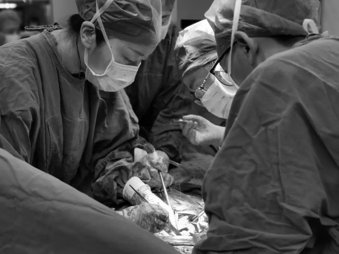 小孩能吃补硒补品吗(能补小孩补品吃硒元素吗)-硒宝网