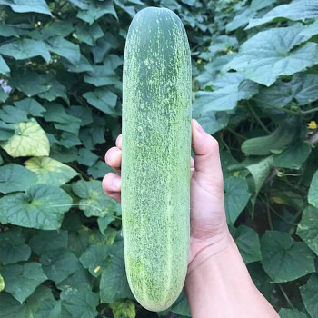 健康之路之补硒防癌(补硒预防癌症无效)-硒宝网