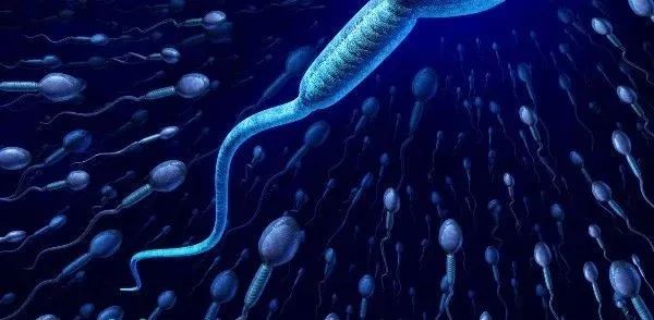 男人补锌镁还是补硒（男性补镁能够壮阳是真的吗）-硒宝网