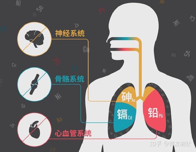 铁锅补铁(铁锅补铁的原理)-硒宝网