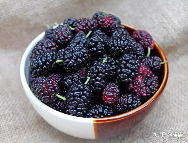 桑葚听说补硒功效好(桑葚养生功效)-硒宝网