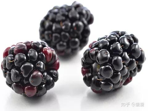 桑葚听说补硒功效好(桑葚养生功效)-硒宝网