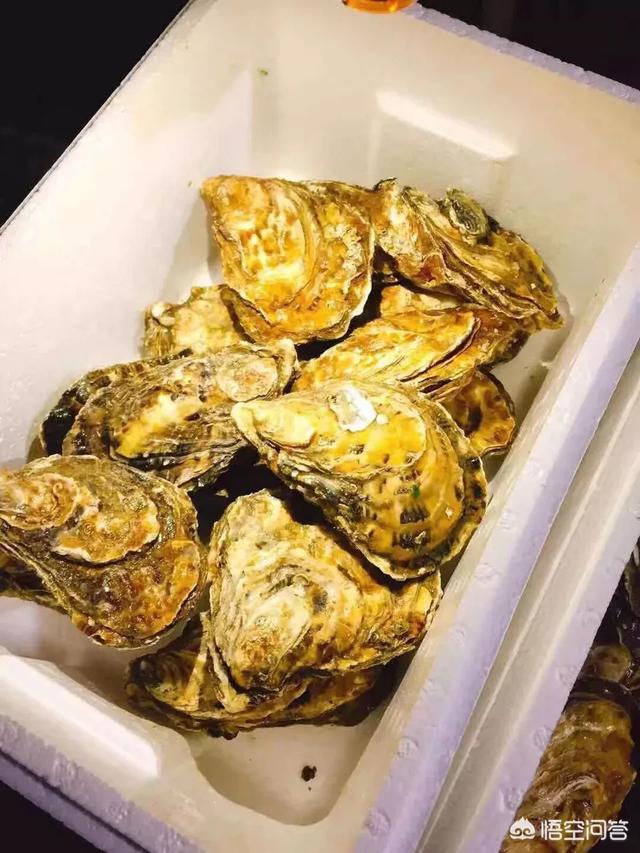 生蚝补锌吗(生蚝补锌好吗)-硒宝网