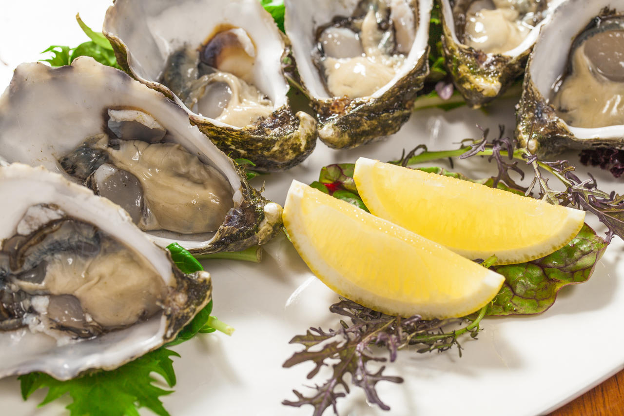 生蚝补锌吗(生蚝补锌好吗)-硒宝网