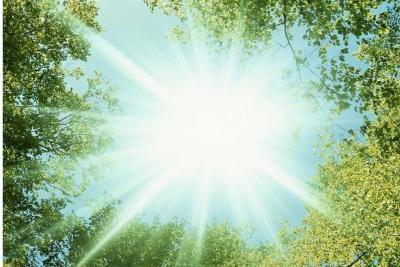 什么肉补钙（羊肉补钙还是牛肉补钙）-硒宝网