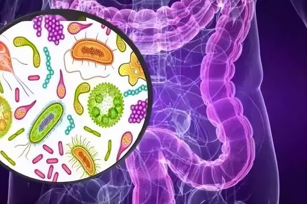 宝宝补钙会引起便秘吗(便秘补钙引起宝宝会便秘吗)-硒宝网