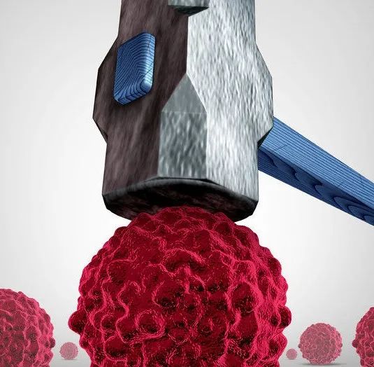 补硒元素最好的食物（补充硒元素吃什么最好）-硒宝网