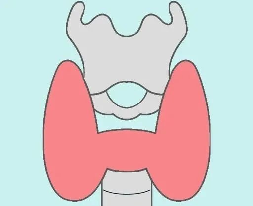桥本甲状腺炎 补硒(补硒桥本甲状腺炎)-硒宝网