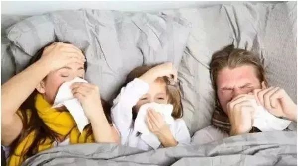 什么青菜补铁(青菜补铁有哪种蔬菜)-硒宝网