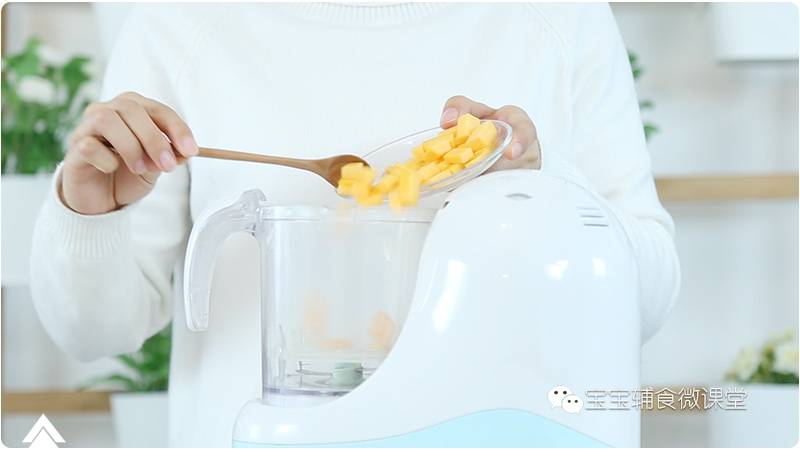 什么青菜补铁(吃什么青菜补铁)-硒宝网