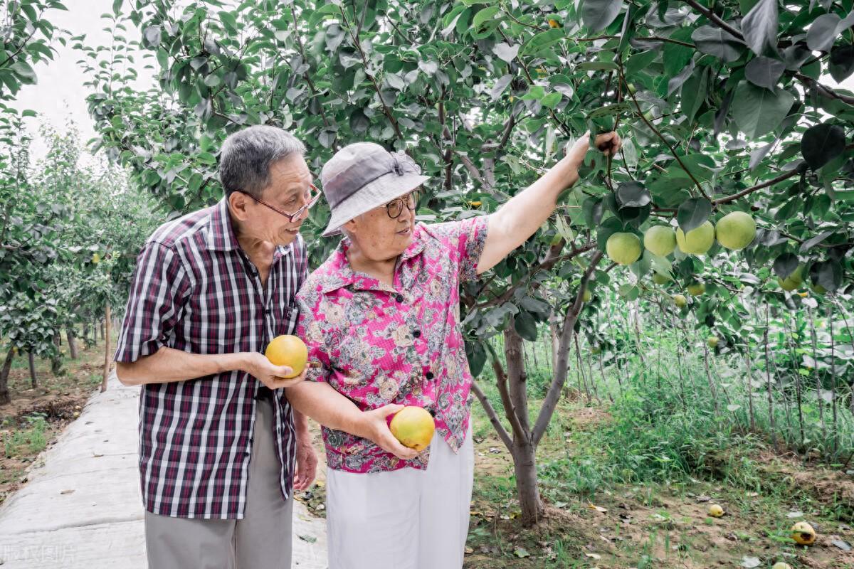 补锌的蔬菜(什么蔬菜补锌)-硒宝网