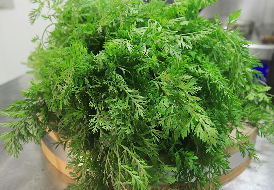 补锌的蔬菜(什么蔬菜补锌)-硒宝网