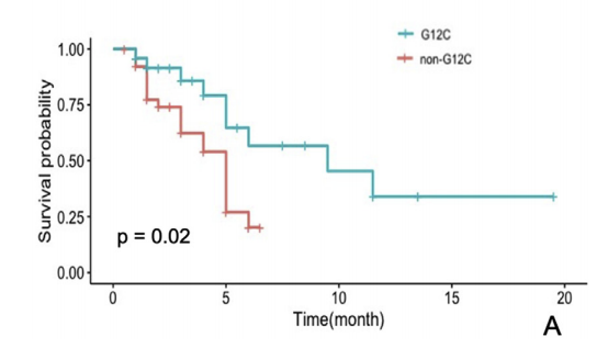 小细胞肺癌补硒作用(肺癌吃硒片)-硒宝网