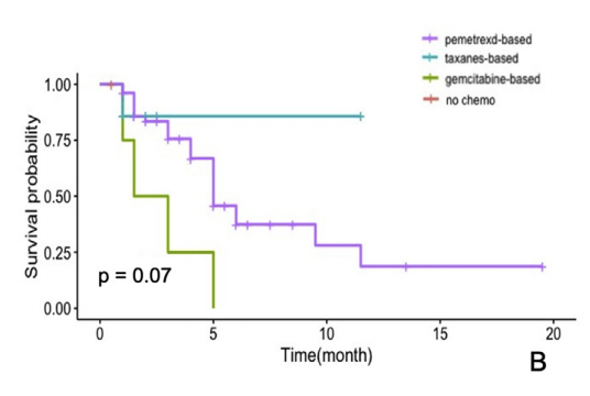 小细胞肺癌补硒作用(肺癌吃硒片)-硒宝网