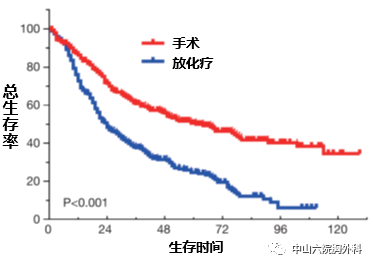 小细胞肺癌补硒作用(小细胞肺癌吃硒元素有作用吗)-硒宝网