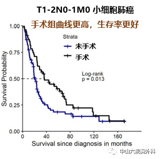 小细胞肺癌补硒作用(小细胞肺癌吃硒元素有作用吗)-硒宝网