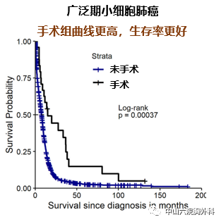 小细胞肺癌补硒作用(小细胞肺癌吃硒元素有作用吗)-硒宝网