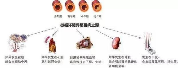补硒可以增加食欲嘛(食欲补增加硒可以减肥吗)-硒宝网