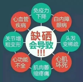 补硒可以增加食欲嘛(食欲补增加硒可以减肥吗)-硒宝网