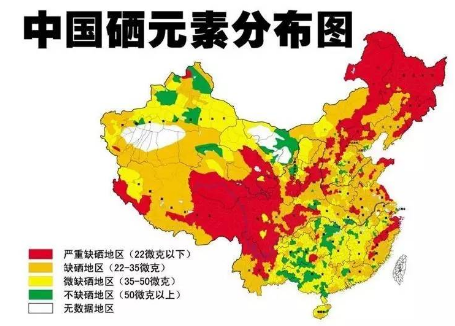 补硒可以增加食欲嘛(食欲补增加硒可以减肥吗)-硒宝网