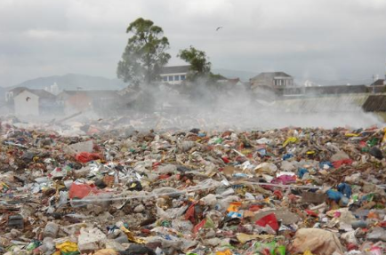 补硒可以增加食欲嘛(食欲补增加硒可以减肥吗)-硒宝网