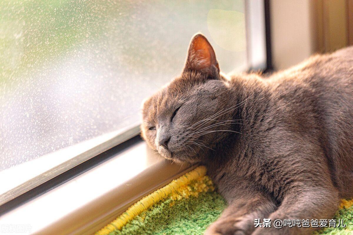 新生儿补钙补多久(新生儿宝宝补钙)-硒宝网