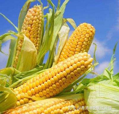 食疗补硒抗癌食物有（含硒抗癌食物）-硒宝网