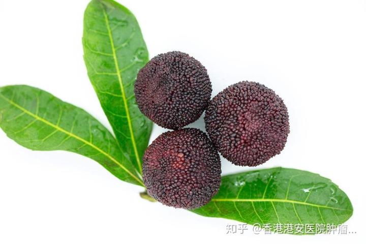 食疗补硒抗癌食物有（含硒抗癌食物）-硒宝网