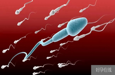 男人补硒有什么功效(男人补硒能提高性功能吗)-硒宝网